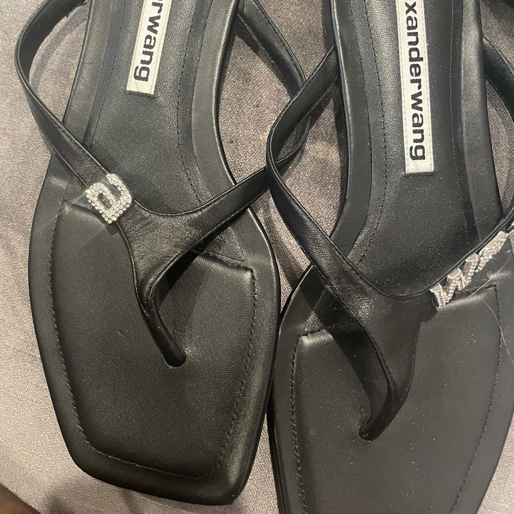 Alexander wang sandals